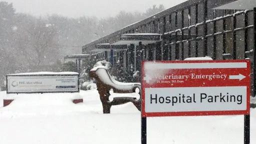 Boston West Veterinary Emergency & Specialty 6