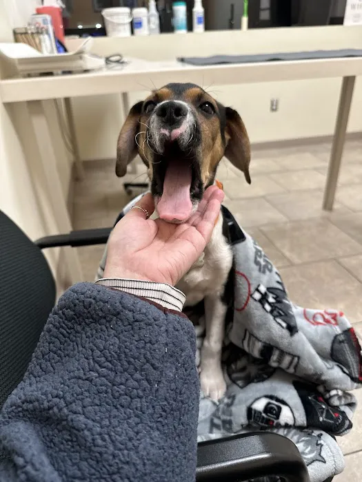 Boston West Veterinary Emergency & Specialty 1