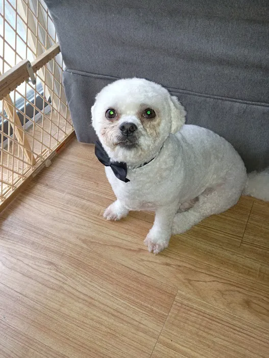 Banfield Pet Hospital 4