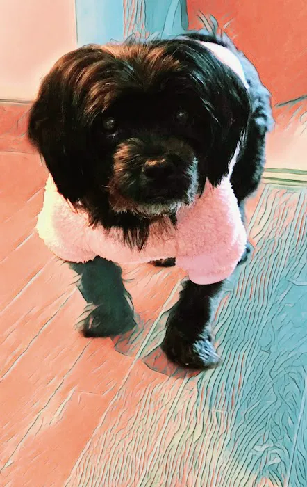 Banfield Pet Hospital 7