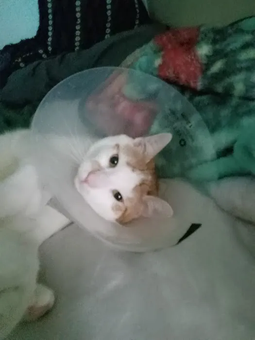 Banfield Pet Hospital 3