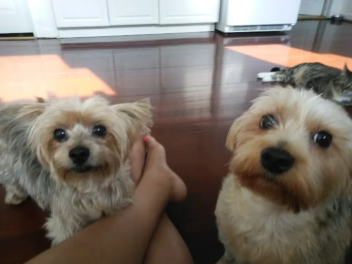Banfield Pet Hospital 6