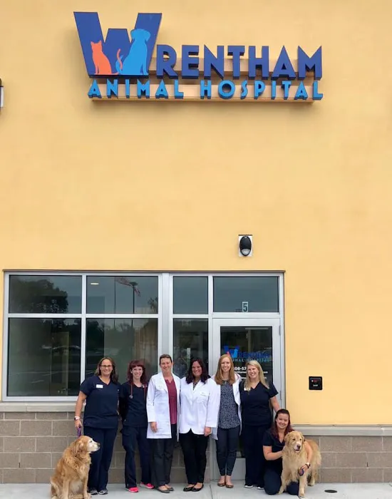 Wrentham Animal Hospital 9