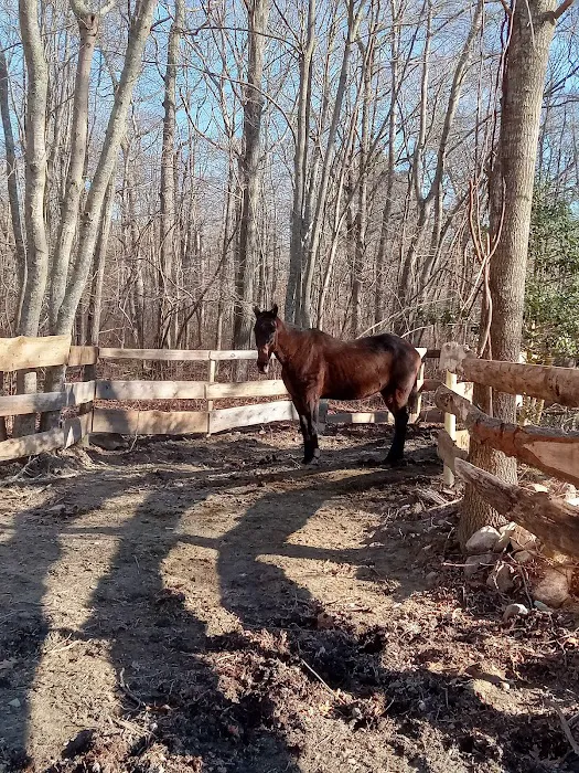Ocean State Equine Associates 1