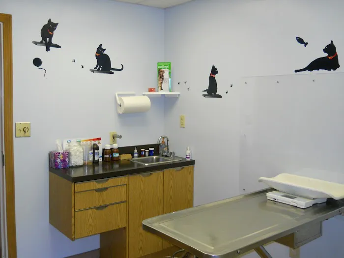 Dewitt Animal Hospital 2