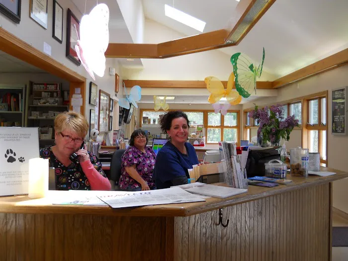 Dewitt Animal Hospital 6