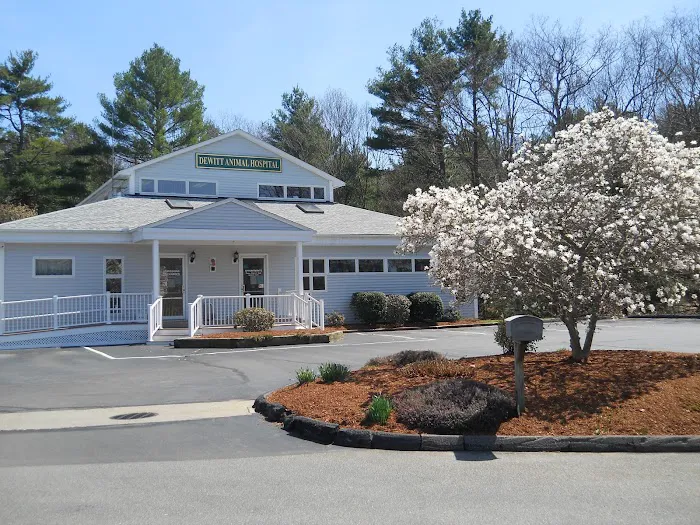 Dewitt Animal Hospital 9