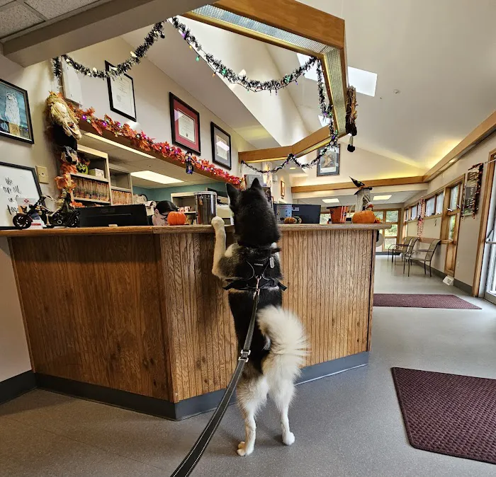 Dewitt Animal Hospital 10