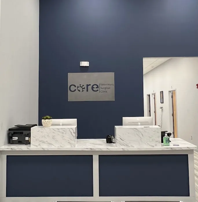 CORE Veterinary Surgical Clinic 1