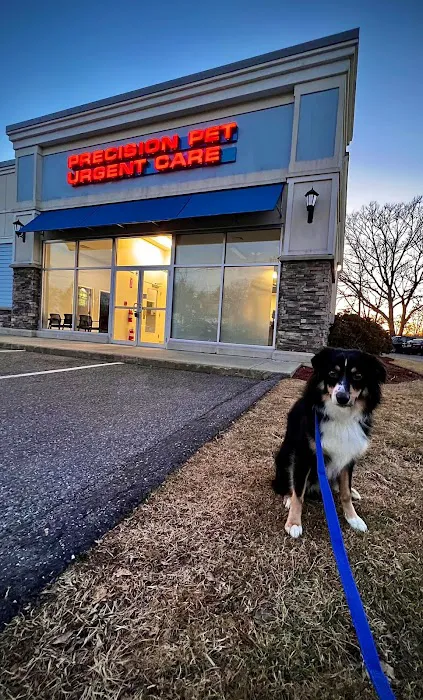 Precision Pet Urgent Care LLC 10