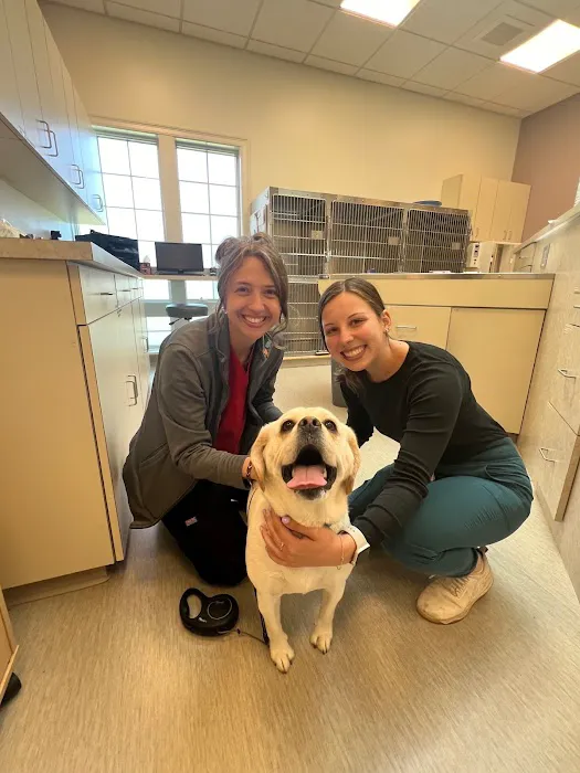 WAGS Animal Hospital 4