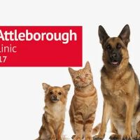 At Home Veterinary ico