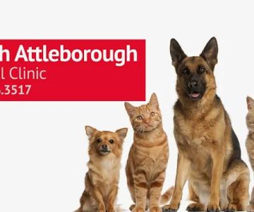 At Home Veterinary