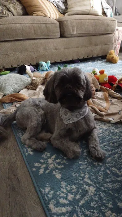 Pet Partners Inc 9