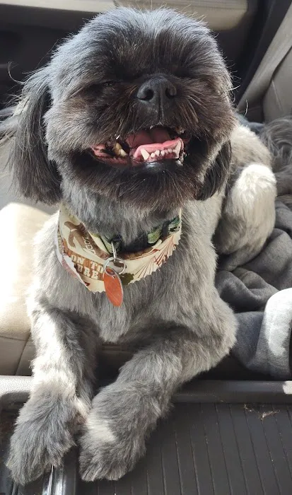 Pet Partners Inc 6