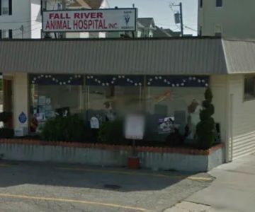 Fall River Animal Hospital