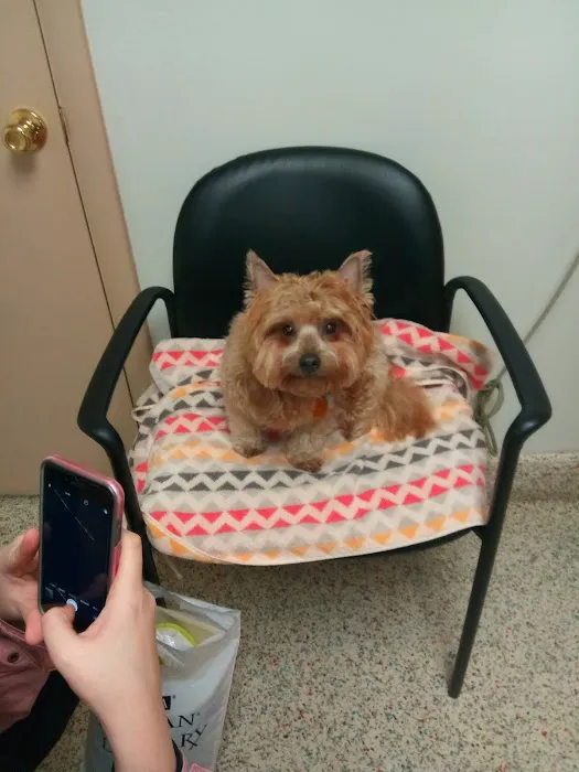 Fall River Animal Hospital 8