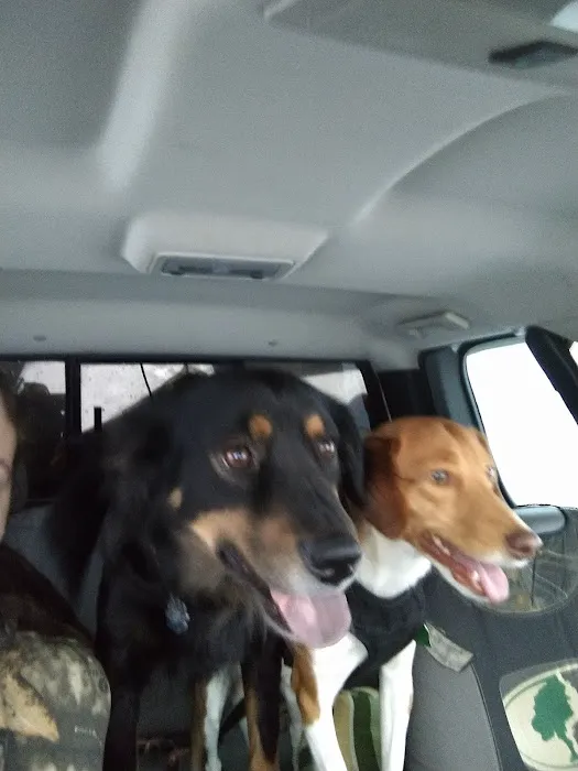 Somerset Animal Hospital 1