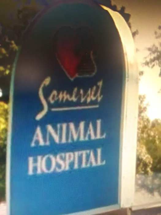 Somerset Vet clinic 1