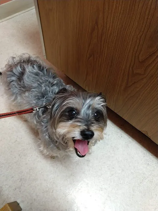 Anchor Animal Hospital 1