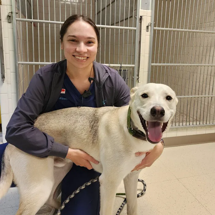 Anchor Animal Hospital 9