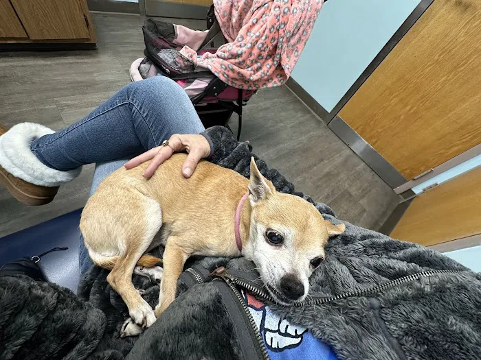 Anchor Animal Hospital Inc: Lefkowitz Katherine P DVM 3