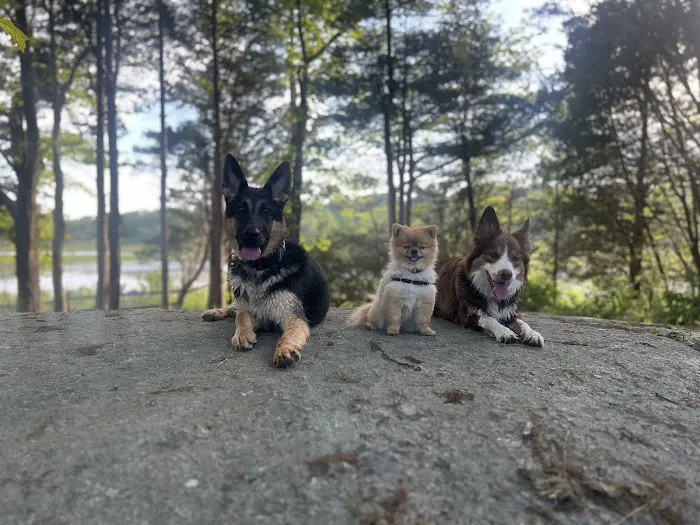 Dagenais Veterinary Clinic 10