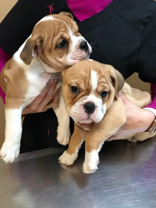 TLC Veterinary Hospital 7