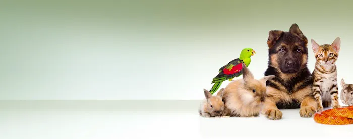 TLC Veterinary Hospital 4