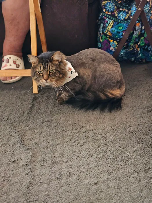 Warren Animal Hospital 3
