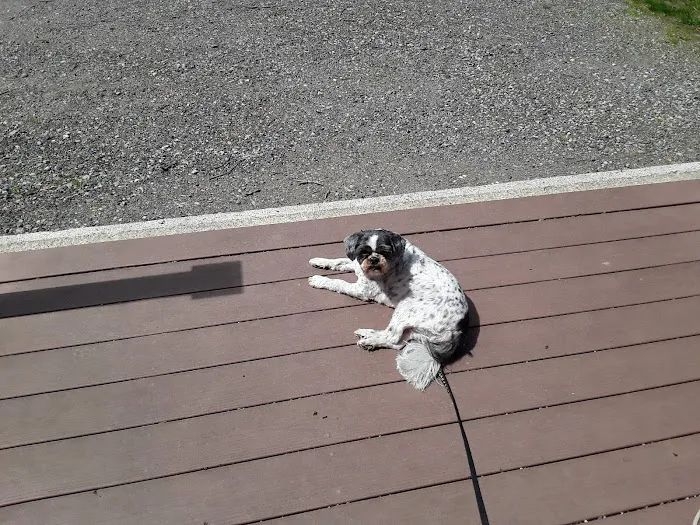 Warren Animal Hospital 9
