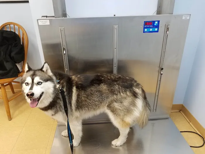 Warren Animal Hospital 7