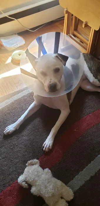 Warren Animal Hospital 5