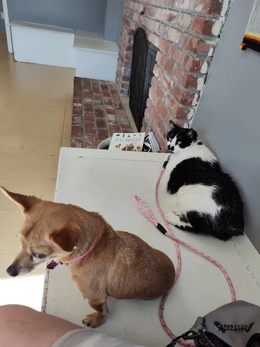 Warren Animal Hospital 2