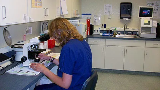 Bay State Veterinary Emergency & Specialty Services 7