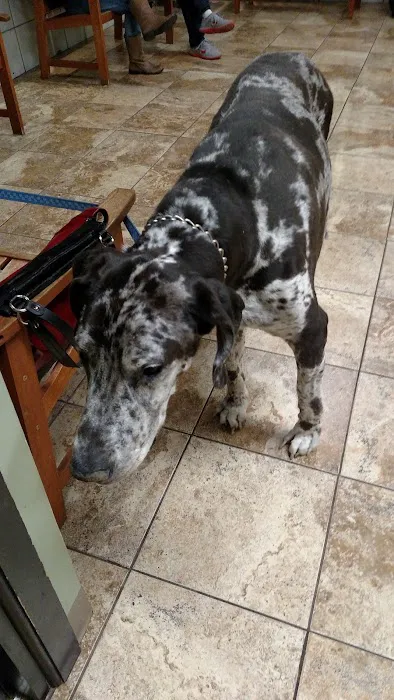 Mass-RI Veterinary ER 4