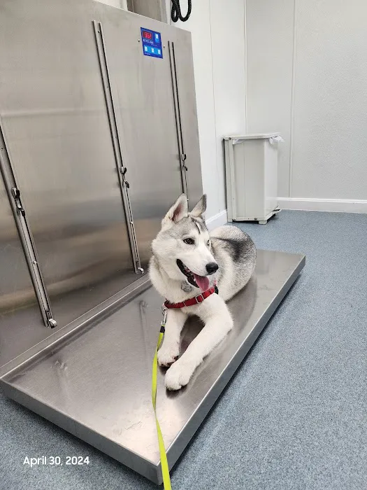 Central Avenue Veterinary Clinic 5