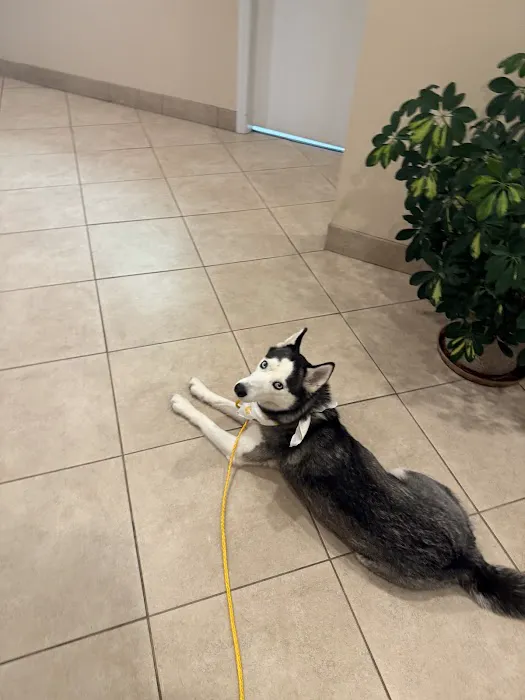 Animal Hospital of New Bern 4