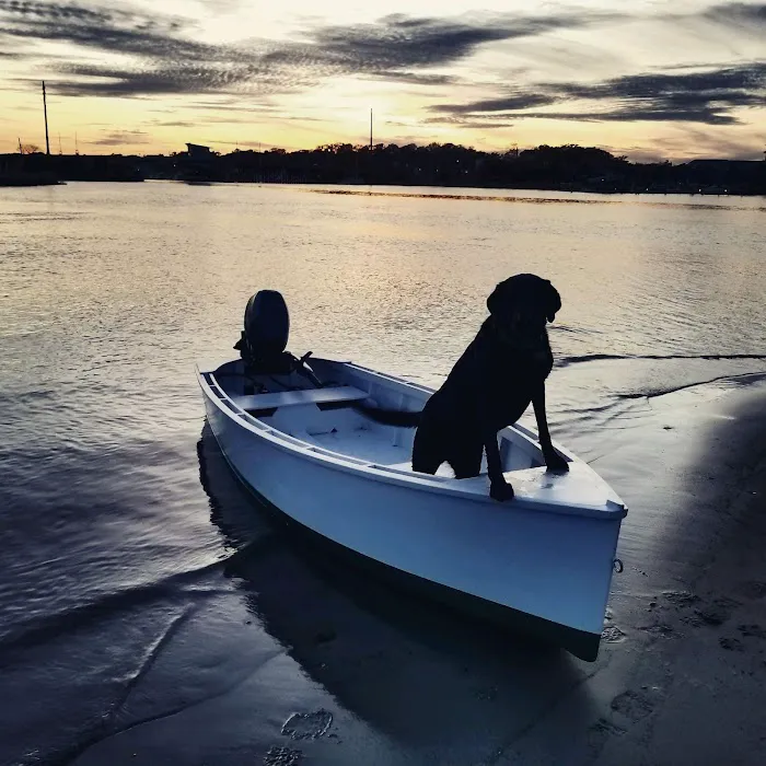 Animal Hospital of New Bern 8