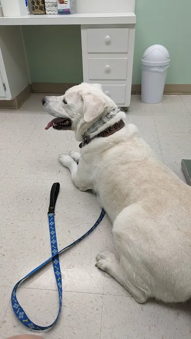 Animal Hospital of New Bern 2