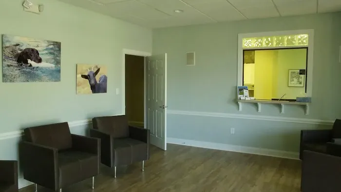 Synergy Integrative Specialty Veterinary Clinic 7