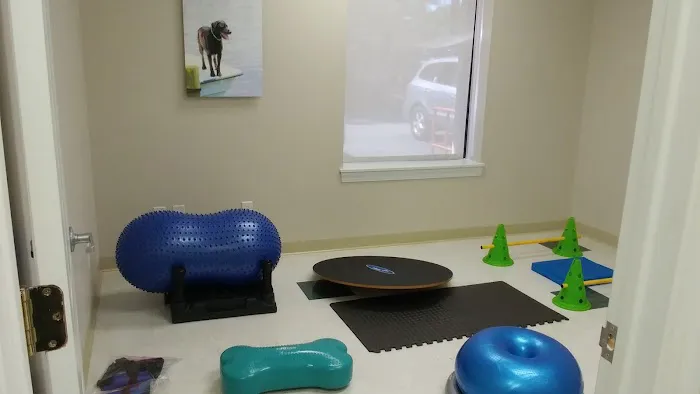 Synergy Integrative Specialty Veterinary Clinic 8