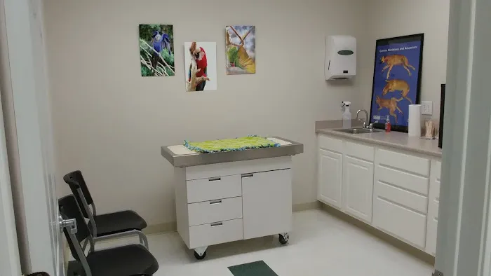 Synergy Integrative Specialty Veterinary Clinic 6