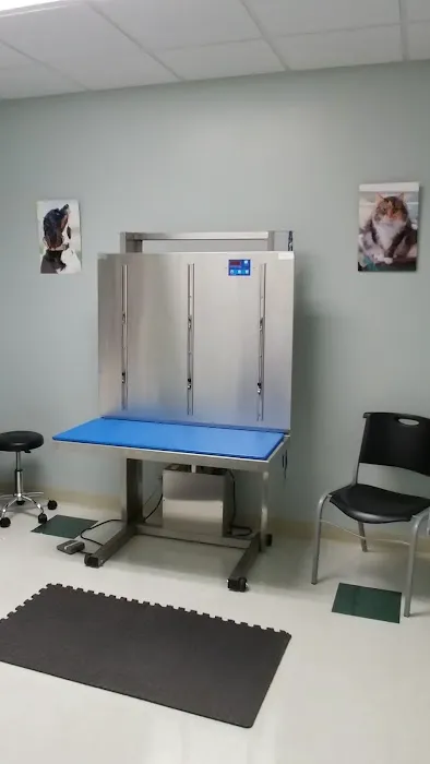 Synergy Integrative Specialty Veterinary Clinic 9