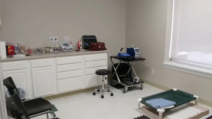 Synergy Integrative Specialty Veterinary Clinic 10