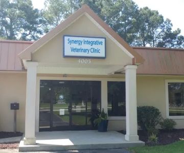 Synergy Integrative Specialty Veterinary Clinic