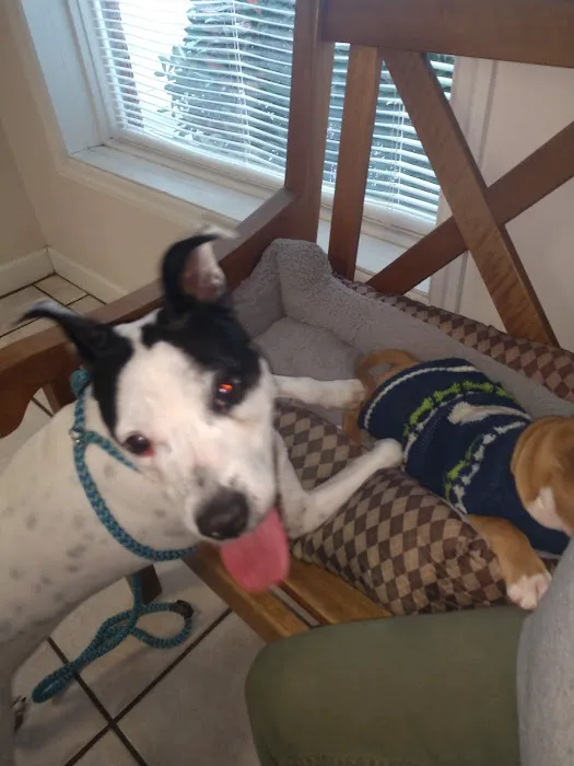 Neuse Veterinary Clinic 8