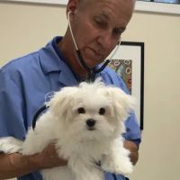 Neuse Veterinary Clinic ico