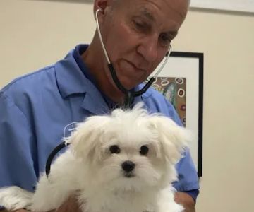 Neuse Veterinary Clinic