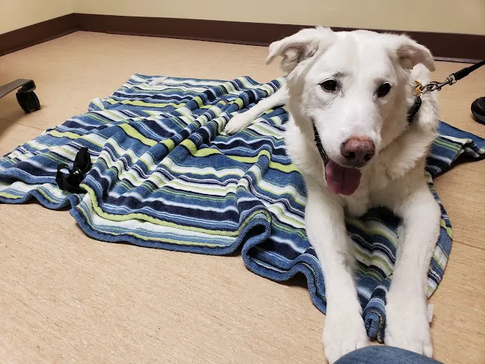 Companions First Vet Clinic 5